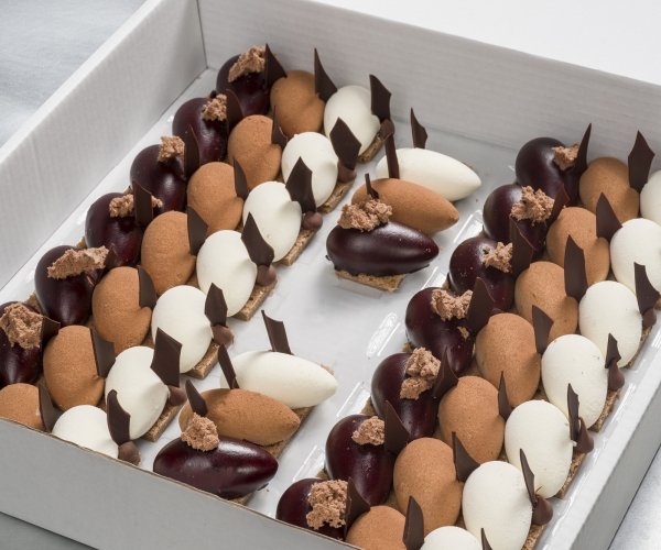 Trio van chocolade met een biscuitbodem