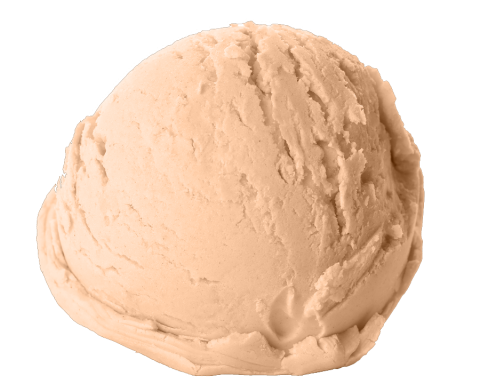 Hazelnoot
