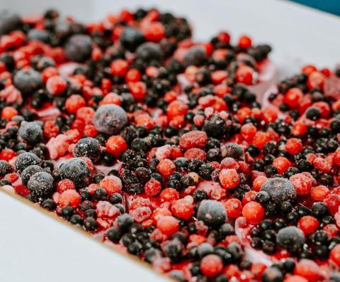 Vegan bosvruchten