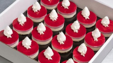 Kerstdessert van rood fruit