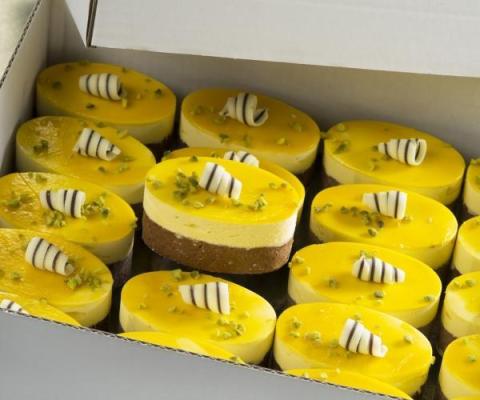 IJsdessert ovaal mango