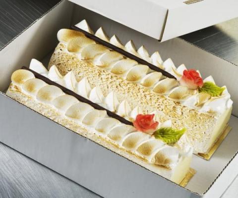 IJsomelette vanille cake vorm