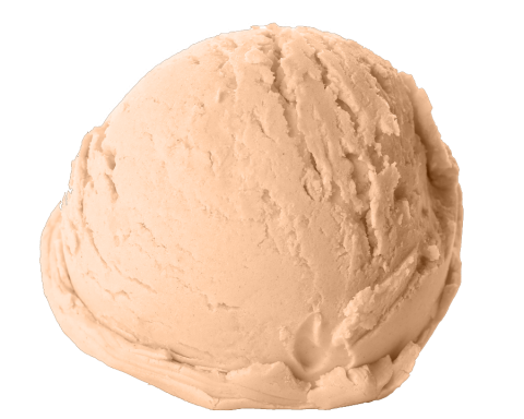 Hazelnoot